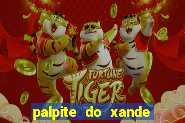 palpite do xande para hoje